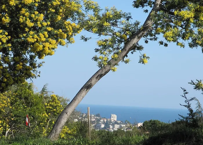 Nocleg ze śniadaniem Feline Cannes