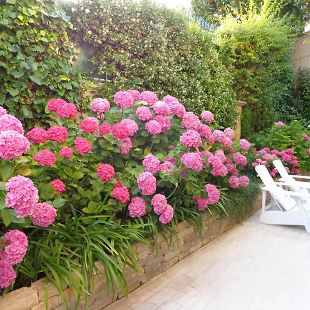 Bed & Breakfast Feline Cannes