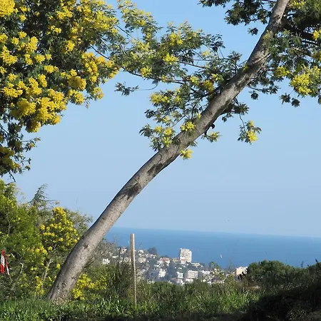 Bed & Breakfast Feline Cannes