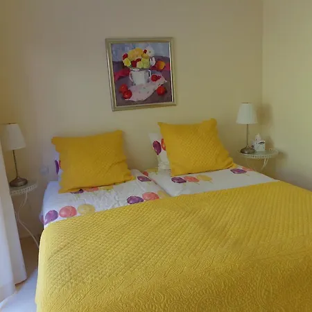 Feline Bed & Breakfast Cannes